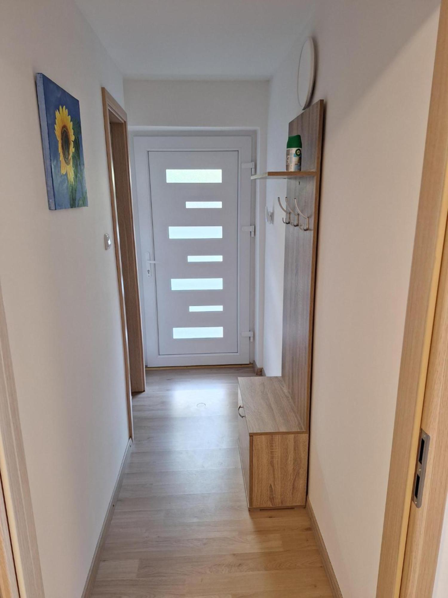 Apartment Belka Jesenice Exterior photo